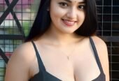 Hi5 Bangalore call girls services