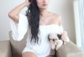 bangalore mg road call girls services