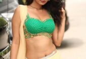 bangalore malleshwaram local hot sexy call girls available