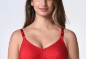 north indian call girls in bangalore