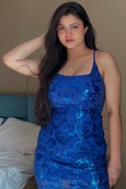 north indian call girls in bangalore