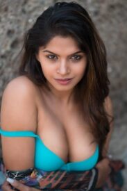 north and south indian call girls available booking call